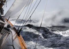 Embracing the Storm: Navigating the Seas of Change in 2024 for Small Businesses